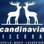Scandinavian discobar