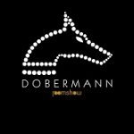 Discoteca Dobermann