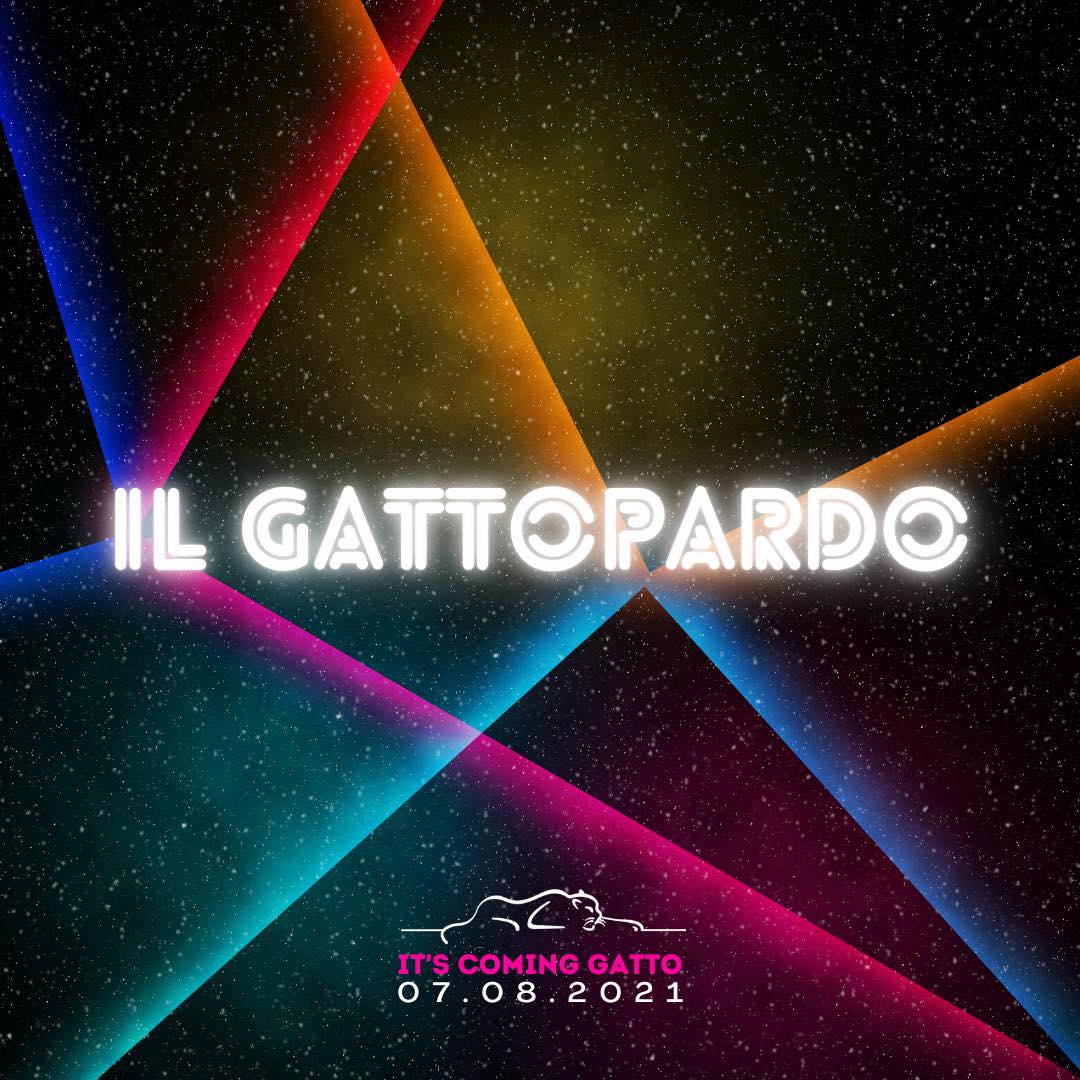 Gattopardo Alba Adriatica, It's Coming Gatto