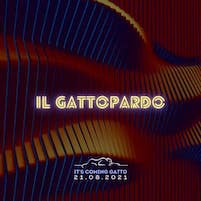 Gattopardo di Alba Adriatica, It's coming gatto