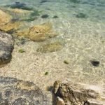 L'estate non finisce mai allo Chalet Beach Marina di Montemarciano