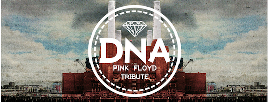 Dna Pink Floyd tribute band al Nyx club di Ancona