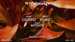 Ciuffo dj & Rivaz per il sabato Woodpecker